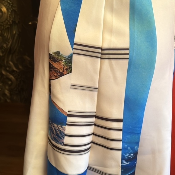 Clover Canyon printed fit and flare scuba knee dress S - Picture 11 of 14